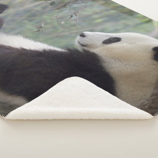 COUVERTURE SHERPA PANDA SNOOZE (3/4)