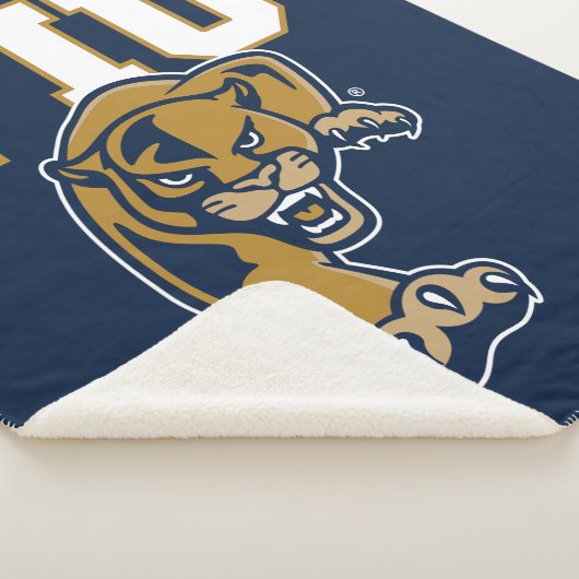 Couverture Sherpa Panneaux FIU (3/4)