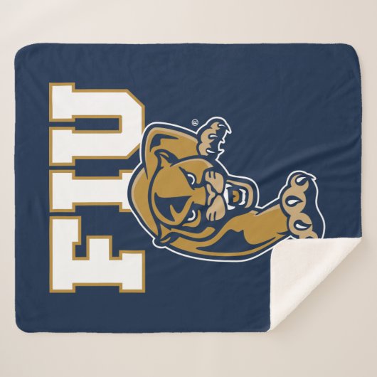 Couverture Sherpa Panneaux FIU (Devant (Horizontal))