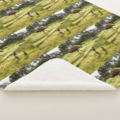 Couverture Sherpa Papa Emu Avec Ses Épouses, (3/4)