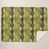 Couverture Sherpa Papa Emu Avec Ses Épouses, (Devant (Horizontal))