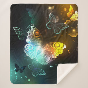 Couverture Sherpa Papillon lumineux et papillons de nuit