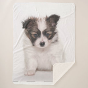 COUVERTURE SHERPA PAPILLON PUPPY
