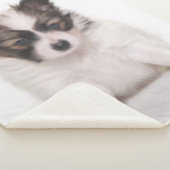COUVERTURE SHERPA PAPILLON PUPPY (3/4)