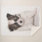 COUVERTURE SHERPA PAPILLON PUPPY (Devant (Horizontal))
