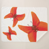 Couverture Sherpa Papillons à coquelicot rouge orange avec trois nom (Devant (Horizontal))