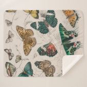 Couverture Sherpa Papillons Collection Antique Papillons (Devant (Horizontal))