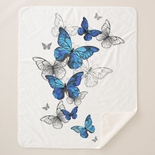 Couverture Sherpa Papillons volants bleus Morpho (Devant)