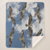 Couverture Sherpa Parade de balbuzard pêcheur dans le ciel couvertur (Devant)