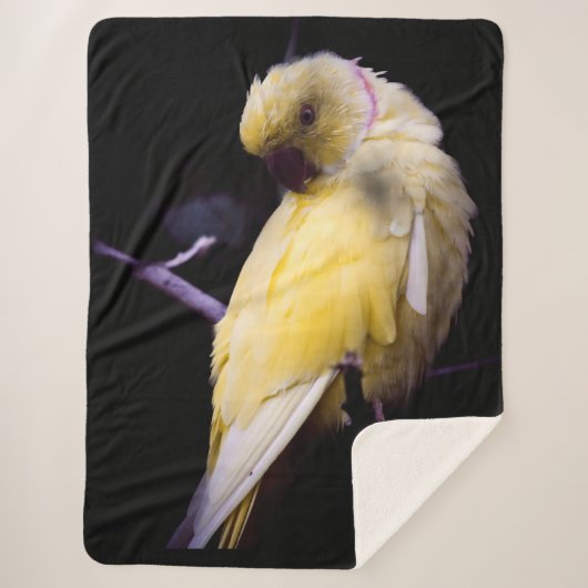 COUVERTURE SHERPA PARAKEET JAUNE (Devant)