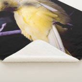 COUVERTURE SHERPA PARAKEET JAUNE (3/4)