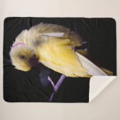 COUVERTURE SHERPA PARAKEET JAUNE (Devant (Horizontal))