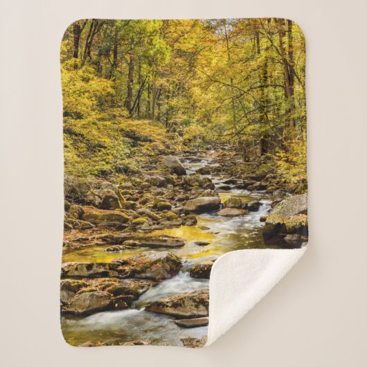 Couverture Sherpa Parc national des Great Smoky Mountains. Big Creek (Devant)