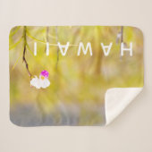 Couverture Sherpa Parc national des volcans d'orchidées tropicales d (Devant (Horizontal))