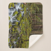 Couverture Sherpa Parc national olympique, État de Washington (Devant)