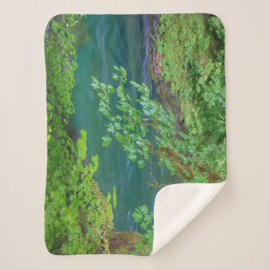 Couverture Sherpa Parc national olympique Washington State (Devant)