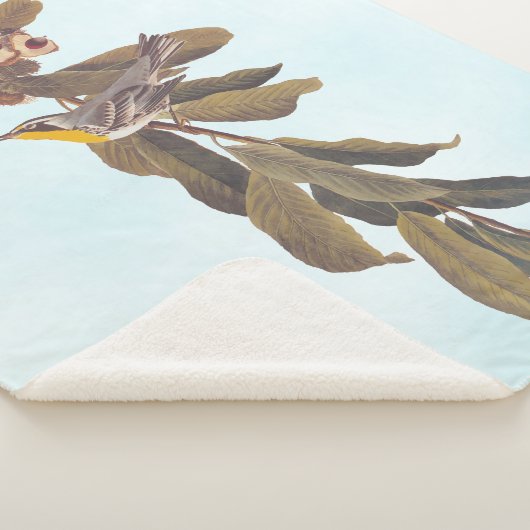 Couverture Sherpa Paruline à gorge jaune d'Audubon sur châtaigne (3/4)