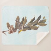 Couverture Sherpa Paruline à gorge jaune d'Audubon sur châtaigne (Devant (Horizontal))