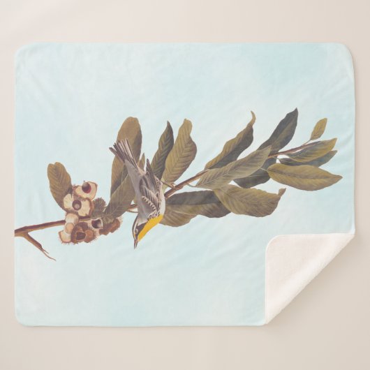 Couverture Sherpa Paruline à gorge jaune d'Audubon sur châtaigne (Devant (Horizontal))