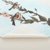 Couverture Sherpa Paruline audubon ornithologique à châtaignes sur F (3/4)