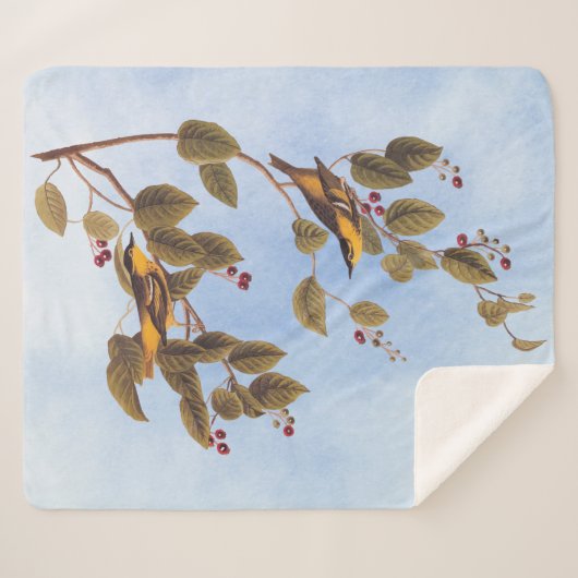 Couverture Sherpa Paruline carbonée Audubon Oiseau (Devant (Horizontal))