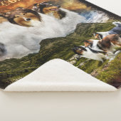 Couverture Sherpa Pas une maison avec des collies, élevage de mouton (3/4)