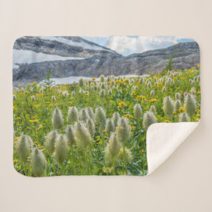 Couverture Sherpa Pasqueflower occidental   Monts East Kootenay