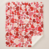 Couverture Sherpa Patterns de Valentine (Devant)