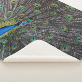 COUVERTURE SHERPA PEACOCK (3/4)