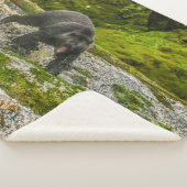 Couverture Sherpa Pêche à l'ours noir | Qua Creek Colombie-Britanniq (3/4)