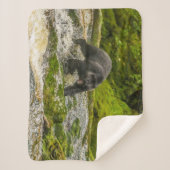 Couverture Sherpa Pêche à l'ours noir | Qua Creek Colombie-Britanniq (Devant)