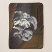 Couverture Sherpa Peinture de jeu de Keeshond - Peinture originale d (Devant)