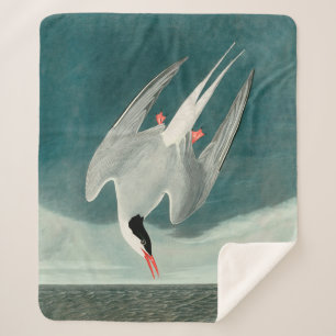 Couverture Sherpa Peinture de la faune de la sterne de l'Arctique Au