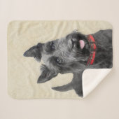 Couverture Sherpa Peinture de Terrier d'écossais - art original (Devant (Horizontal))