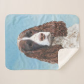 Couverture Sherpa Peinture espagnole Springer anglaise Peinture orig (Devant (Horizontal))