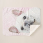 Couverture Sherpa Peinture française de Bulldog (Crème/Blanc) (Devant (Horizontal))