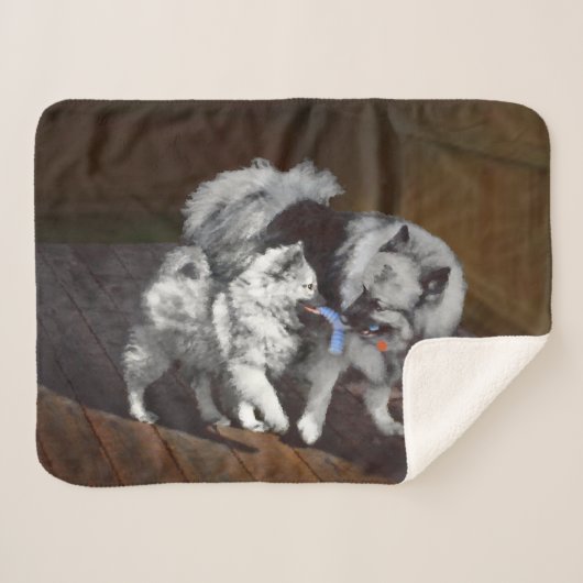Couverture Sherpa Peinture Keeshond Playtime - Jolie art original ch (Devant (Horizontal))