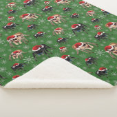 Couverture Sherpa Père Noël Regal Jumping Spider Phidippus Regius ve (3/4)