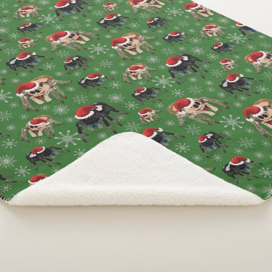 Couverture Sherpa Père Noël Regal Jumping Spider Phidippus Regius ve (3/4)