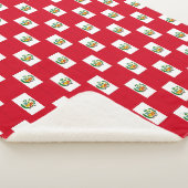Couverture Sherpa Pérou (3/4)