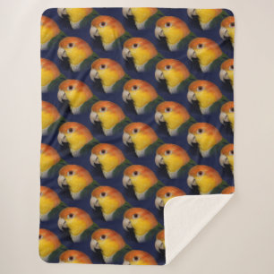 Couverture Sherpa Perroquet coloré de caïque