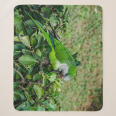 Couverture Sherpa Perroquet vert (Devant)