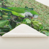 Couverture Sherpa Perroquet vert (3/4)