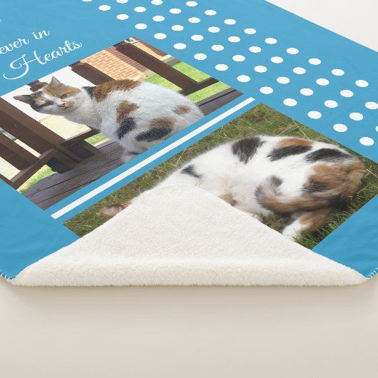 Couverture Sherpa Pet memorial chat bleu et blanc ajouter des photos (3/4)