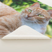 Couverture Sherpa Petit chou doux (3/4)