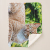 Couverture Sherpa Petit chou doux (Devant)