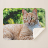 Couverture Sherpa Petit chou doux (Devant (Horizontal))