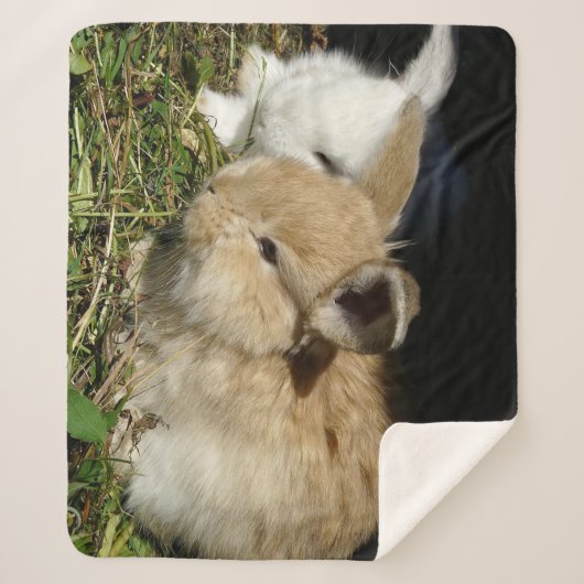 Couverture Sherpa Petit lapin moelleux (Devant)