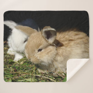 Couverture Sherpa Petit lapin moelleux
