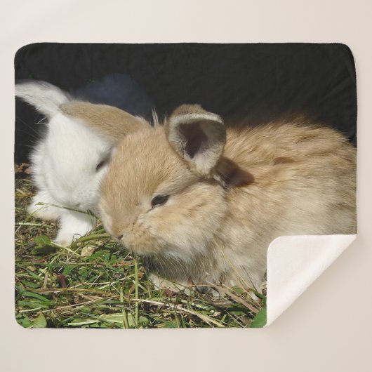 Couverture Sherpa Petit lapin moelleux (Devant (Horizontal))